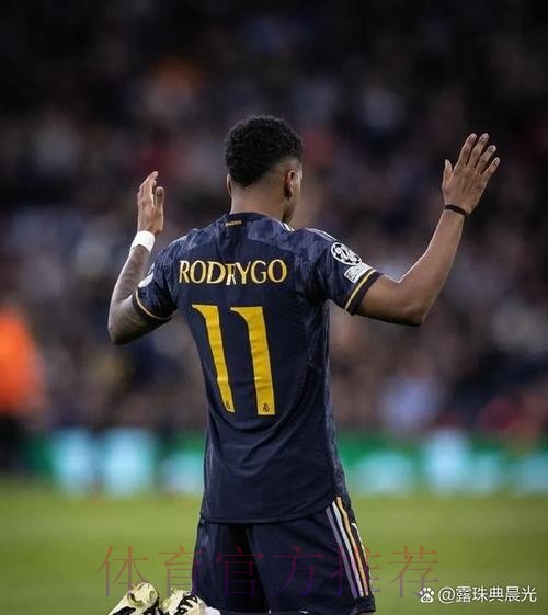科贝:皇马将观察罗德里状态恢复 可能在明年求购 科贝:皇马将观察罗德里状态恢复 可能在明年求购
